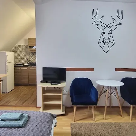 Ubytování v soukromí Goscinne U Zosi