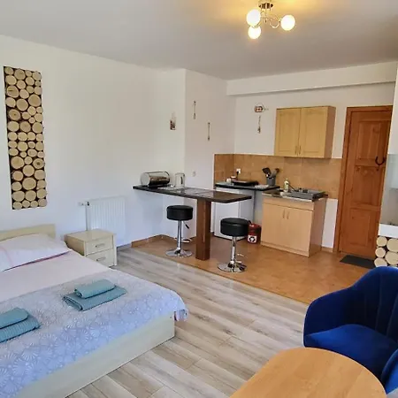 Homestay Goscinne U Zosi *