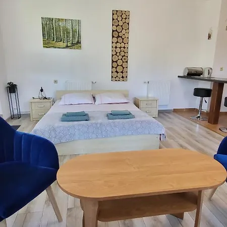 Goscinne U Zosi Ubytování v soukromí Karpacz