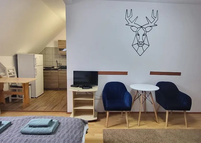 Homestay Goscinne U Zosi