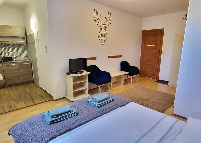 Homestay Goscinne U Zosi *