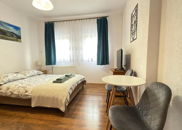 Homestay Goscinne U Zosi *